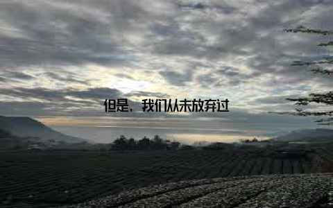 但是, 我们从未放弃过