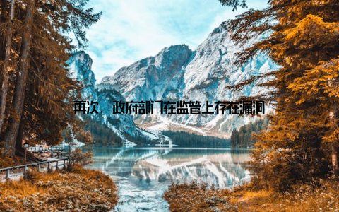 再次, 政府部门在监管上存在漏洞