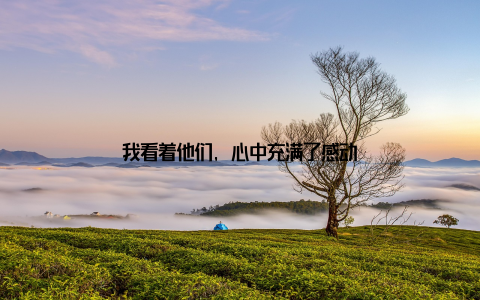 我看着他们, 心中充满了感动