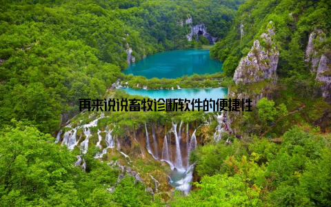 再来说说畜牧诊断软件的便捷性