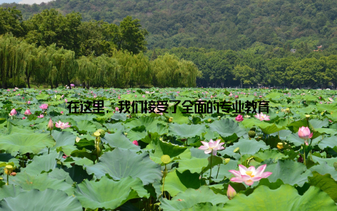 在这里, 我们接受了全面的专业教育