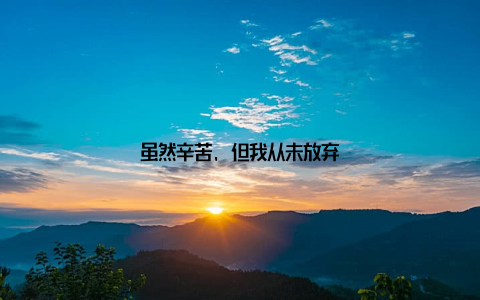 虽然辛苦, 但我从未放弃