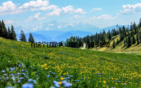 在这个过程中, 我也有了很多感受