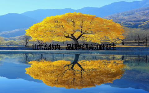 山东畜牧肉, 品质肉源竟如此诞生