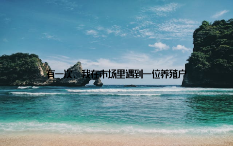 有一次, 我在市场里遇到一位养殖户