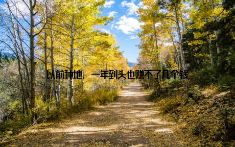 以前种地, 一年到头也赚不了几个钱