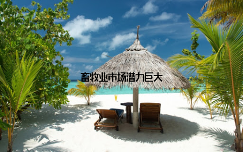 畜牧业市场潜力巨大