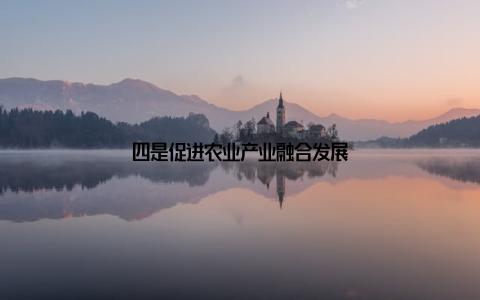 四是促进农业产业融合发展