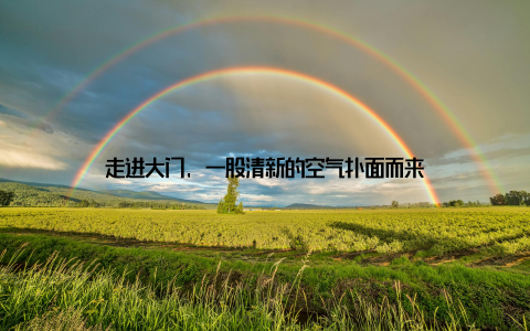 走进大门, 一股清新的空气扑面而来