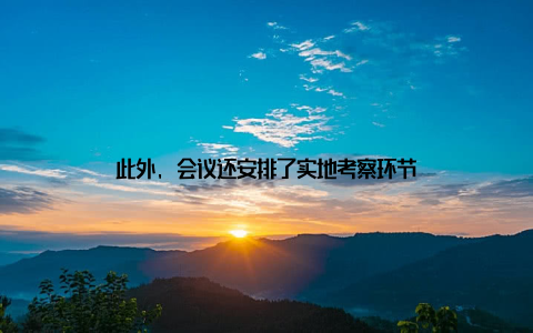 此外, 会议还安排了实地考察环节