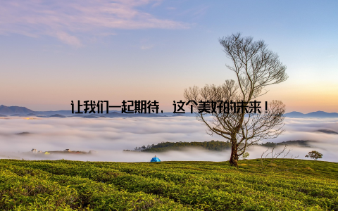 让我们一起期待, 这个美好的未来!