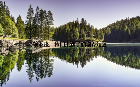 接下来, 我们来到了动物养殖区