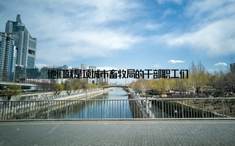 他们就是项城市畜牧局的干部职工们