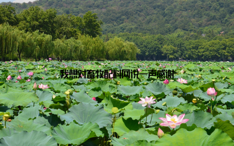 我想对畜牧配料网说一声感谢