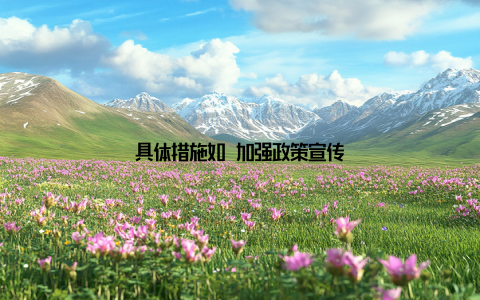 具体措施如 加强政策宣传