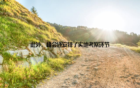此外, 峰会还安排了实地考察环节