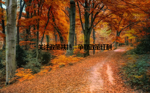关注政策扶持, 争取政策红利