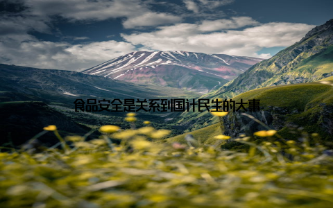 食品安全是关系到国计民生的大事