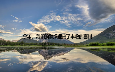 今年, 我们的种场迎来了丰收的喜悦