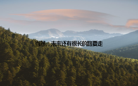 当然, 未来还有很长的路要走