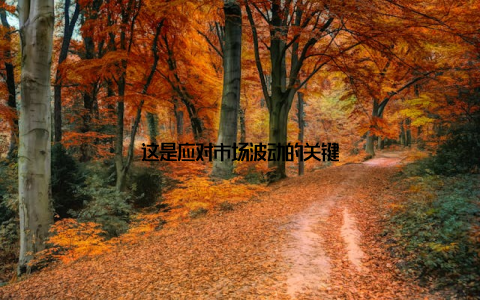 这是应对市场波动的关键