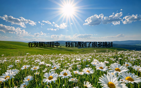 在发展过程中, 我们遇到了很多挑战