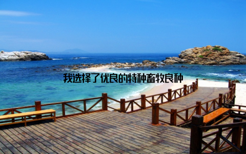我选择了优良的特种畜牧良种