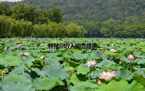 养殖户收入明显提高