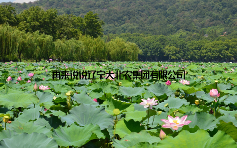再来说说辽宁大北农集团有限公司