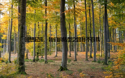 回想起来, 我们的转型之路并不容易