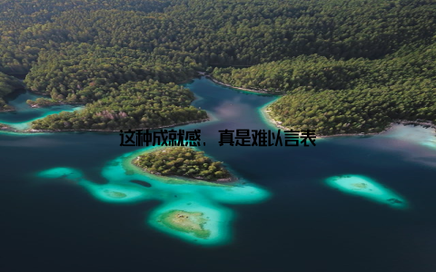 这种成就感, 真是难以言表