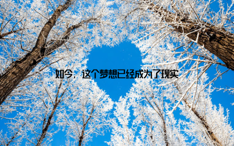 如今, 这个梦想已经成为了现实