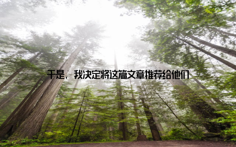 于是, 我决定将这篇文章推荐给他们