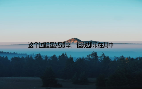 这个过程虽然艰辛, 但我却乐在其中