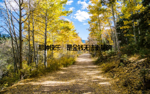 那种快乐, 是金钱无法衡量的