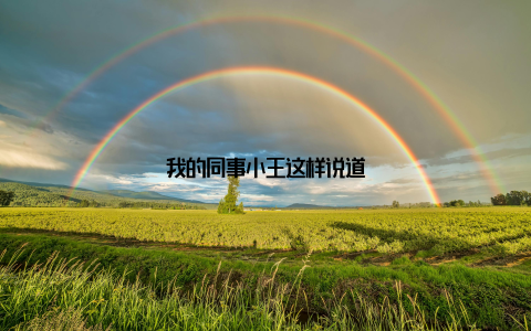 我的同事小王这样说道