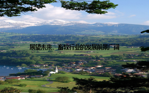展望未来, 畜牧行业的发展前景广阔