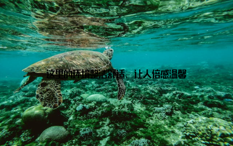 这里的环境整洁舒适, 让人倍感温馨