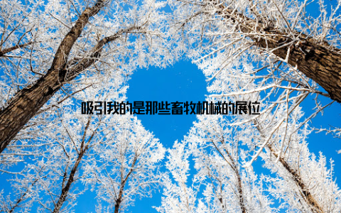吸引我的是那些畜牧机械的展位