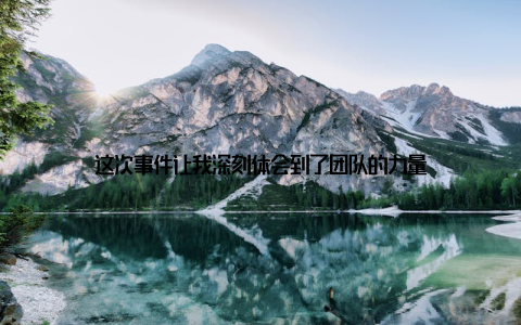 这次事件让我深刻体会到了团队的力量