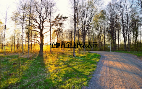 一位参赛企业代表表示