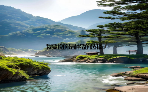 我要说的是种猪的选择