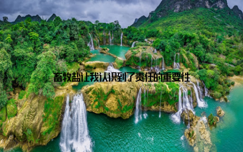 畜牧盐让我认识到了责任的重要性