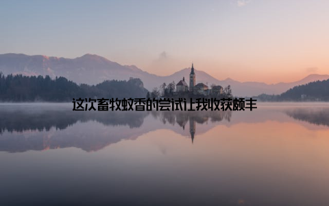 这次畜牧蚊香的尝试让我收获颇丰