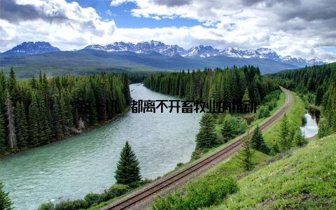 这一切, 都离不开畜牧业的推动