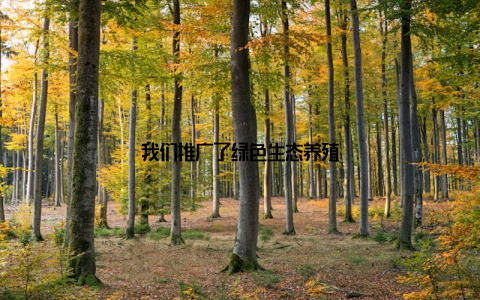 我们推广了绿色生态养殖