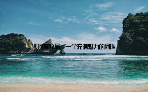 沙河畜牧局, 一个充满魅力的团队