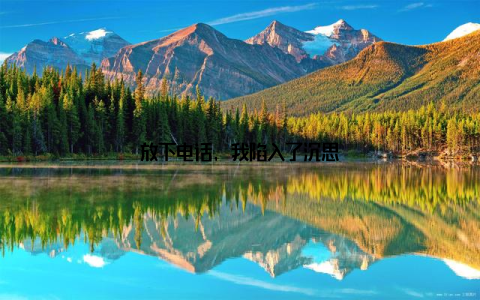 放下电话, 我陷入了沉思