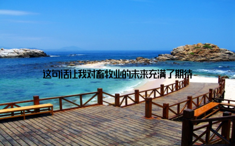 这句话让我对畜牧业的未来充满了期待