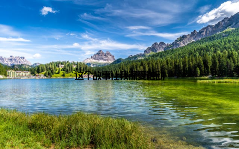 这个故事让我深受触动